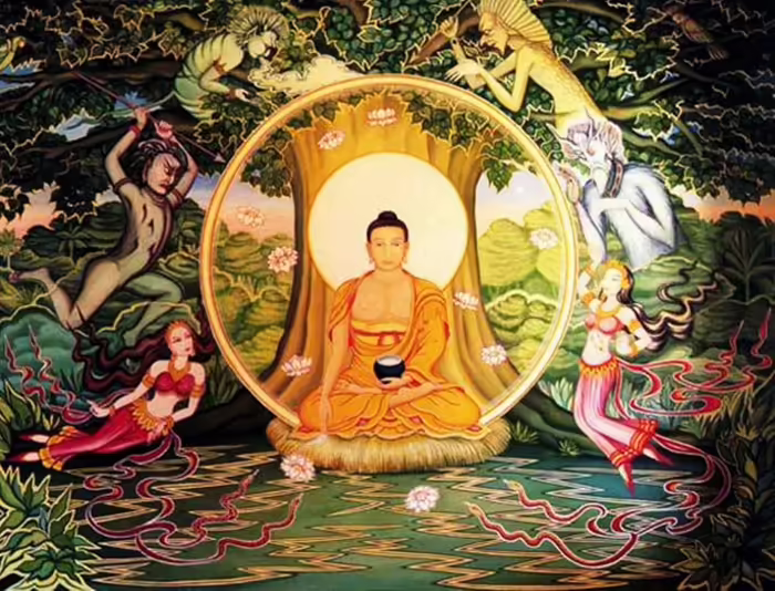 Növények, fák, magvak - Bodhi fa Ficus religiosa, Szent fügefa, Buddha fa, Bodhifa <span style="font-size: 1rem;">A Ficus religiosa, m&aacute;s n&eacute;ven s 